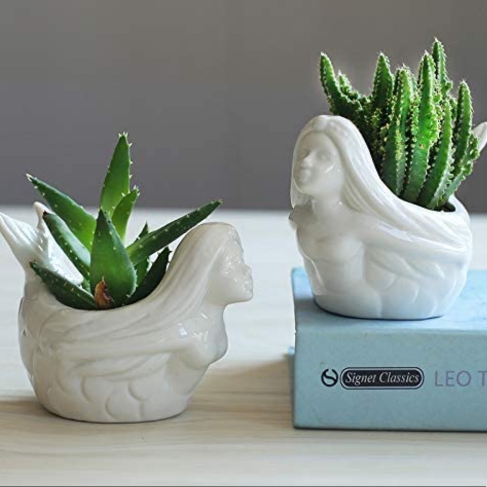 🧜🏻‍♀️ Mermaid Succulent Vase Planter 🧜🏻‍♀️ - Picture 2 of 9